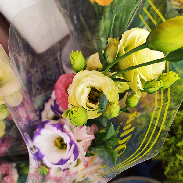 Combo trái cây và hoa cát tường